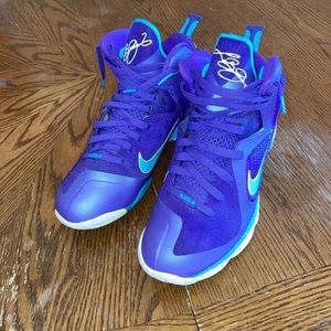 Lebron 9 summit Lake Hornets
